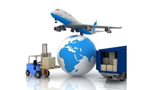 宠物进行航空快运前需要做哪些准备？